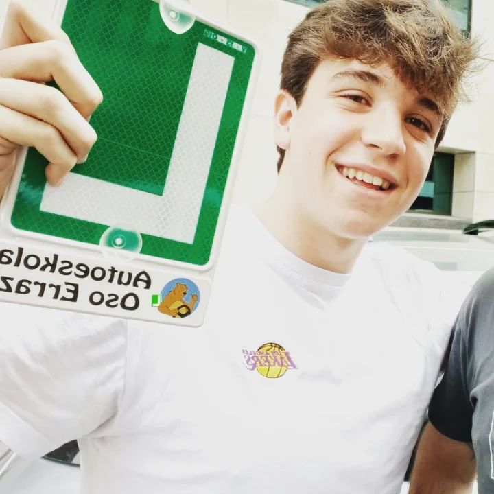 Autoescuela online Oso Erraz — Del propietario