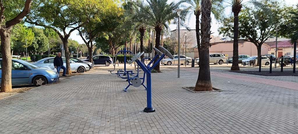 Parque de barras (streetworkout)