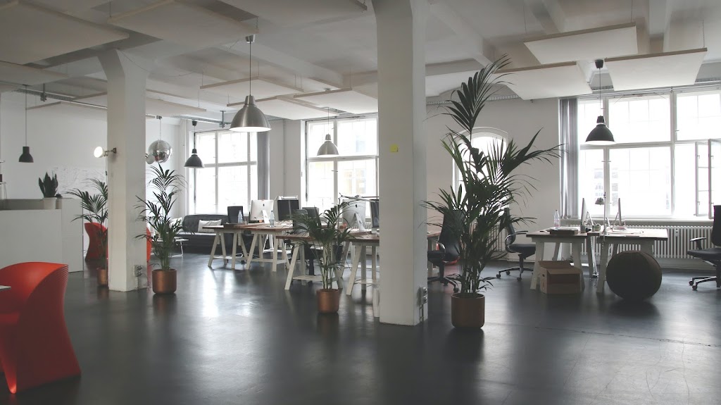 Mp Web Design Austin