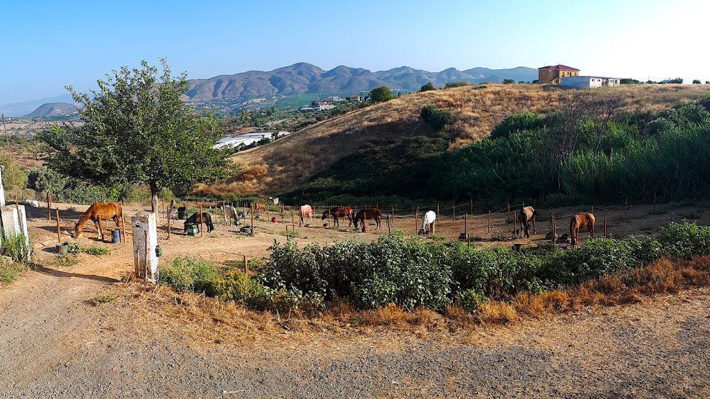 Escuela de Equitacion Adolfo Espinosa
