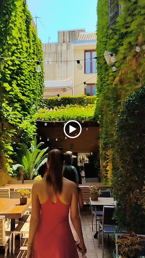Restaurante BABILONIA — Videos