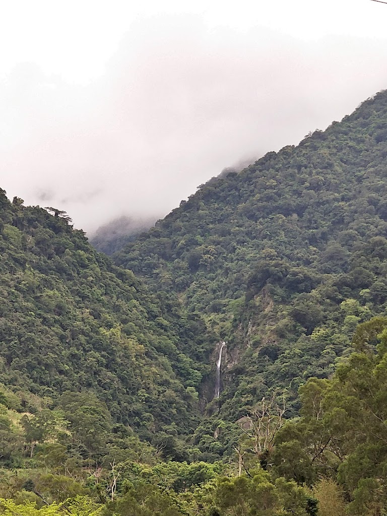 溫媽媽火山豆腐 的照片