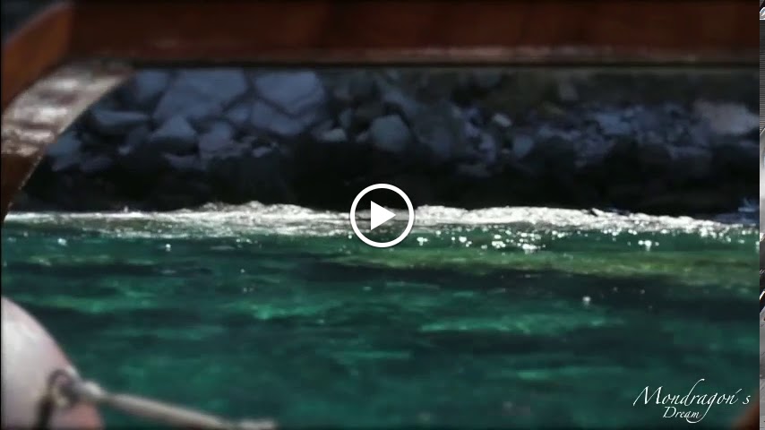 Mondragon's Dream — Videos