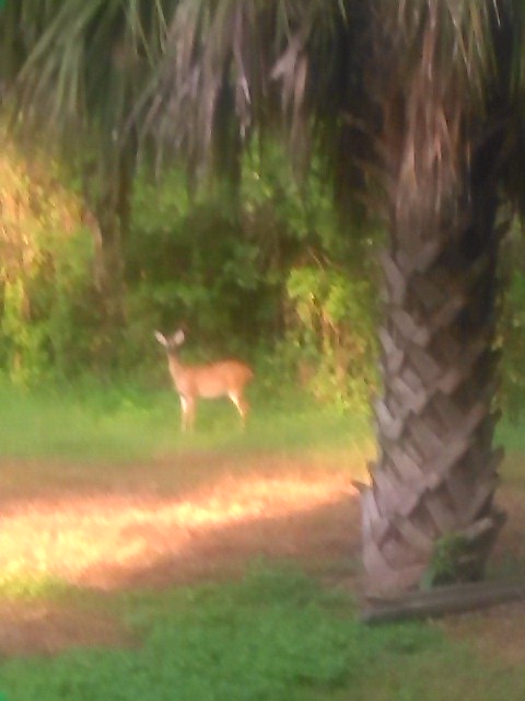  Andy's Golf Lessons and practice range
