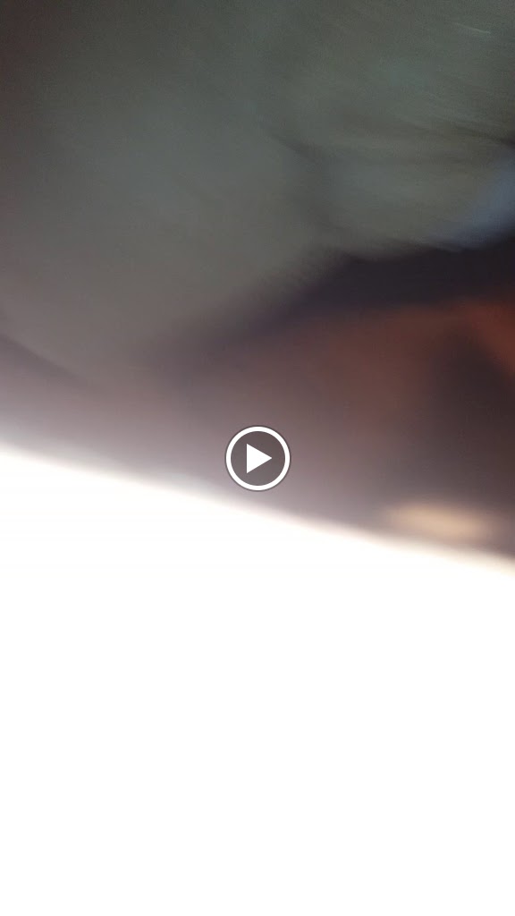 The Shamrocks — Videos