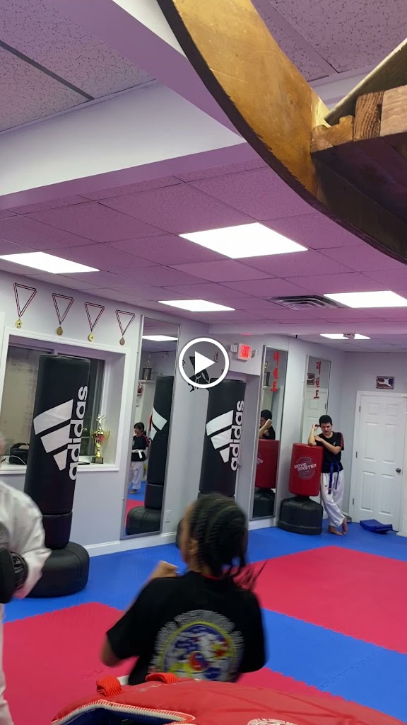  LI World Taekwondo Academy