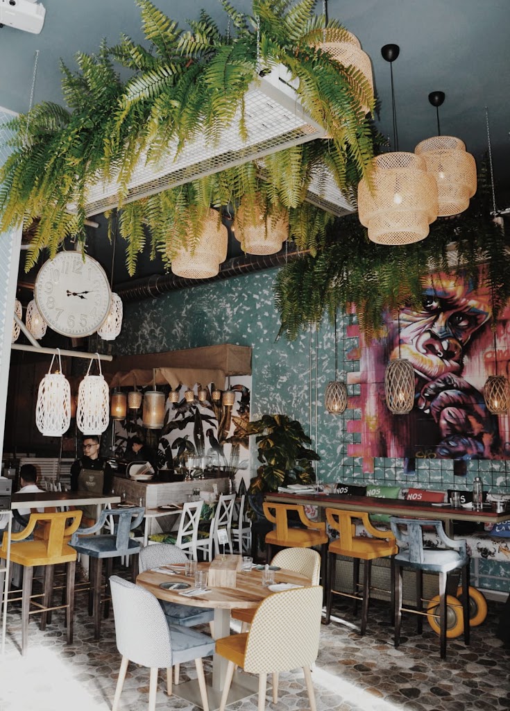 Monkey Fun Kitchen | Recomendado — Ambiente