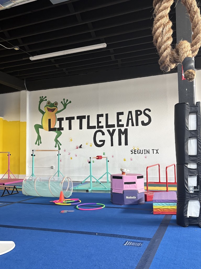  Little Leaps “A Kids Gym”