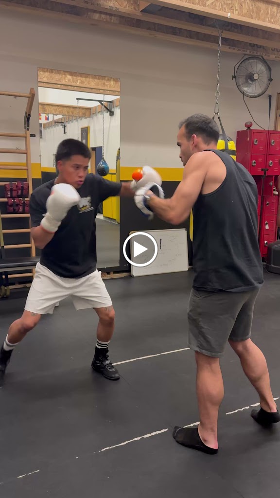  Apex Fitness Collective