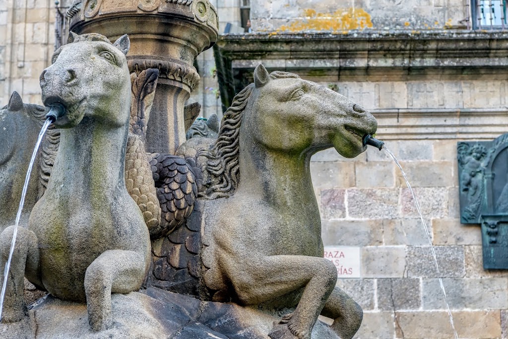 Academia Iria Flavia — Del propietario