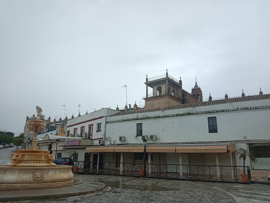 Mirador torre muralla, Marchena. — Mas recientes