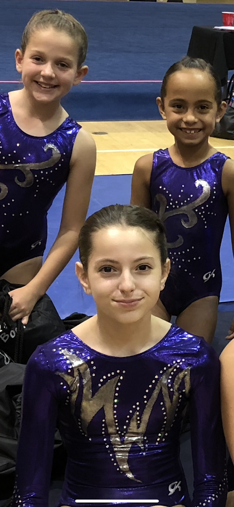  Academy of Gymnastics