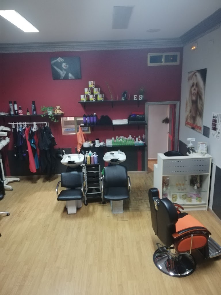 Academia de Peluqueria Camas