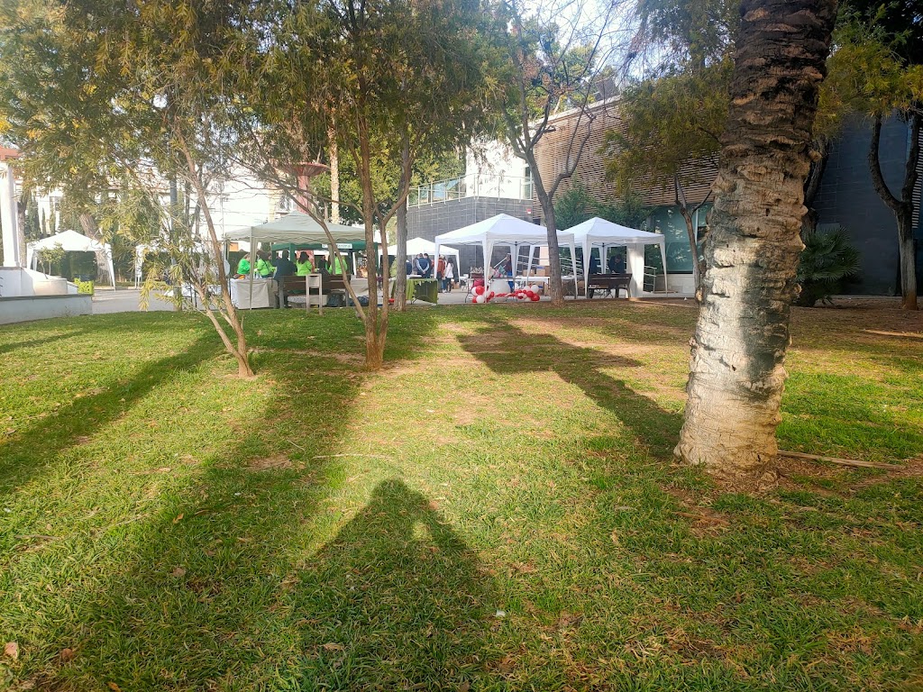 Coliseo Parque de las Palmeras Alfafar