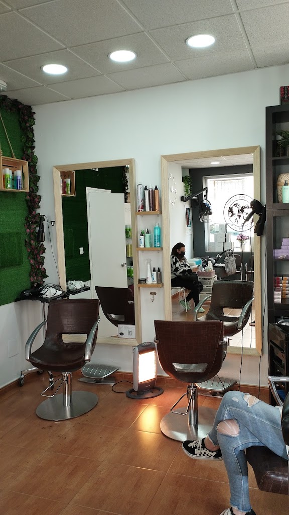 Peluqueria y Estetica Monica Macias