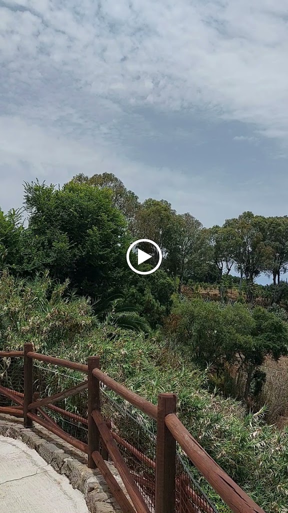 Restaurante El Rincon de Marcos, Teror — Videos
