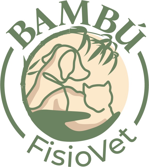 BAMBU Fisiovet - Centro de Fisioterapia y Rehabilitacion Integrativa Veterinaria — Del propietario