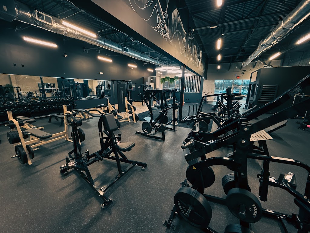  Griffith Training & Nutrition