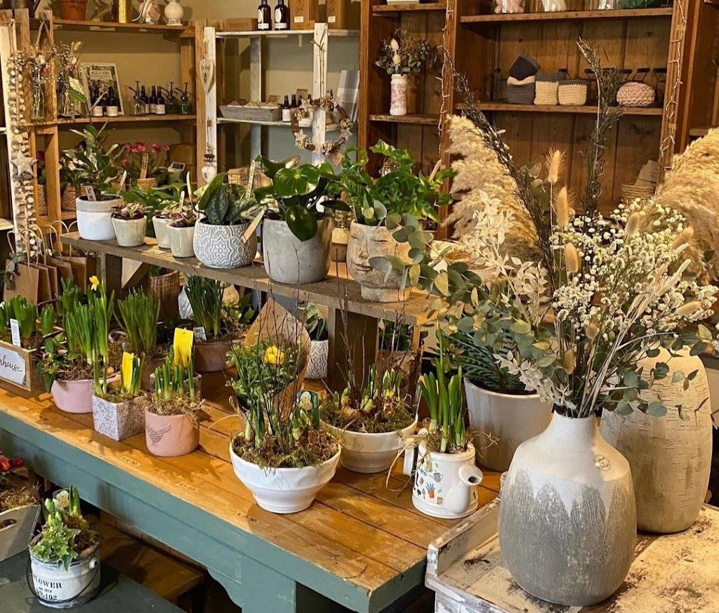 Potted