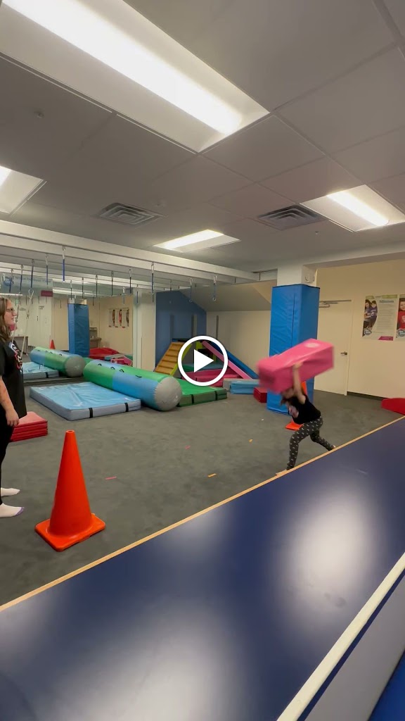  My Gym Children's Fitness Center (Bel Air)