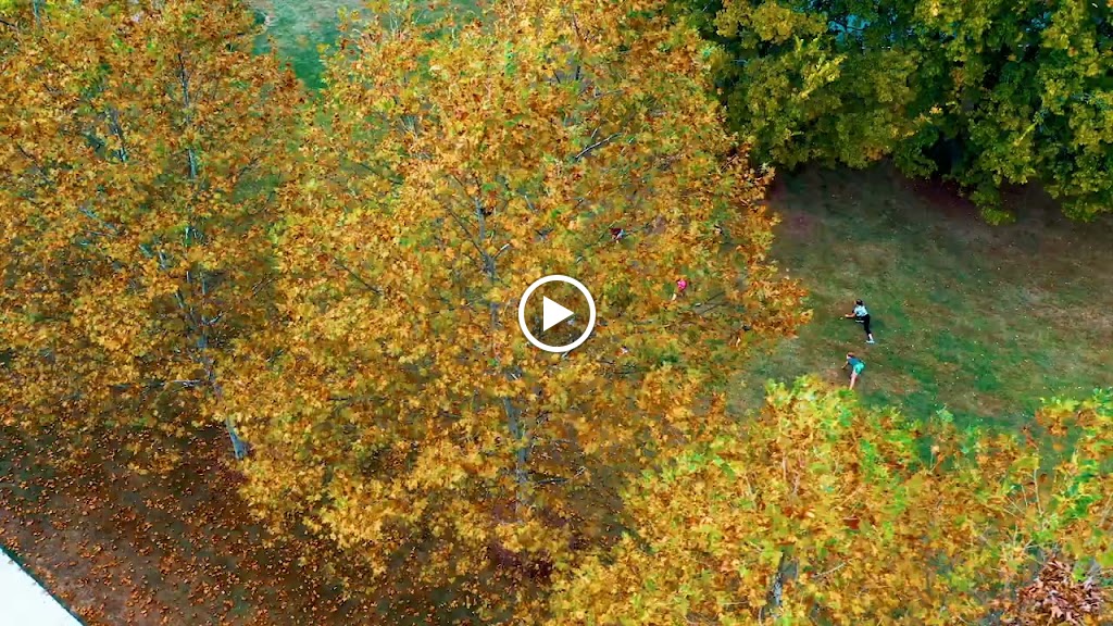  Fluid Motion Dance Academy