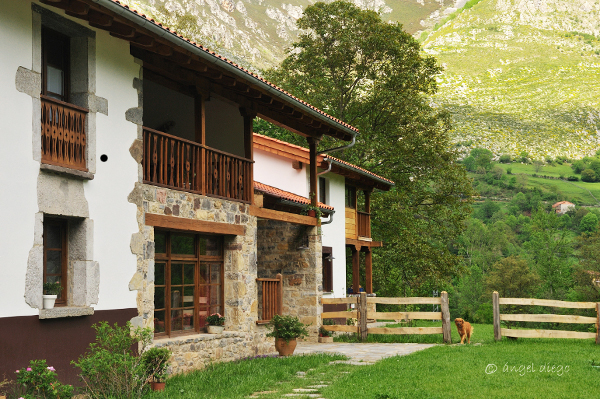 English Getaway - Inmersion Linguistica — Del propietario