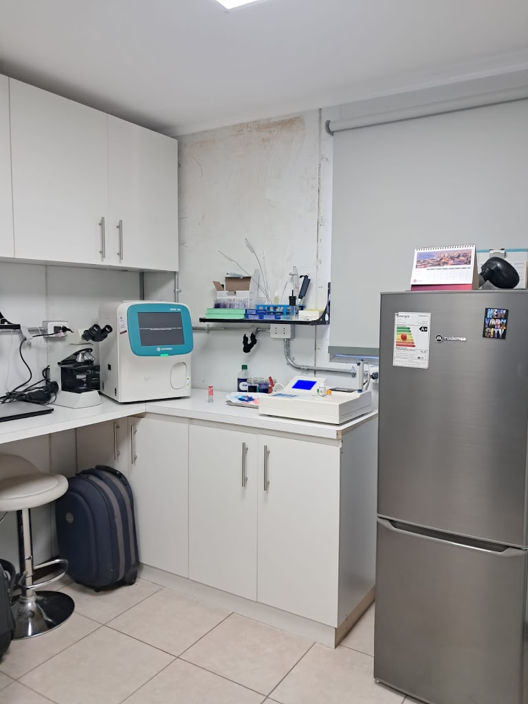 Hospital Veterinario Nuevo Porvenir en Puente Alto
