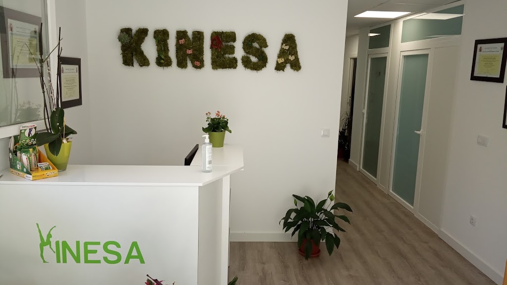 KINESA — Del propietario