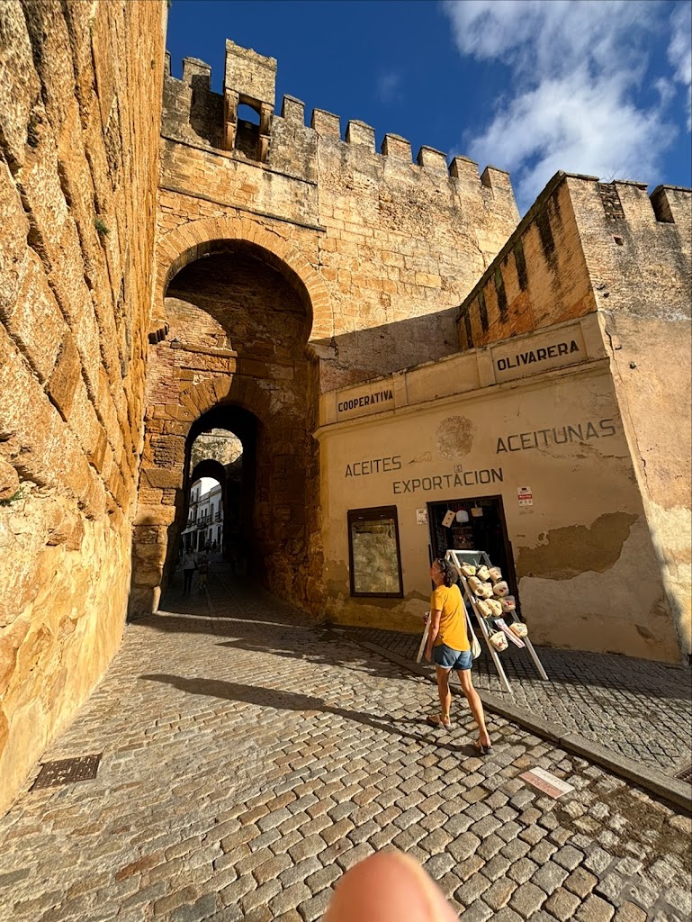 Area Autocaravanas con servicios aguas