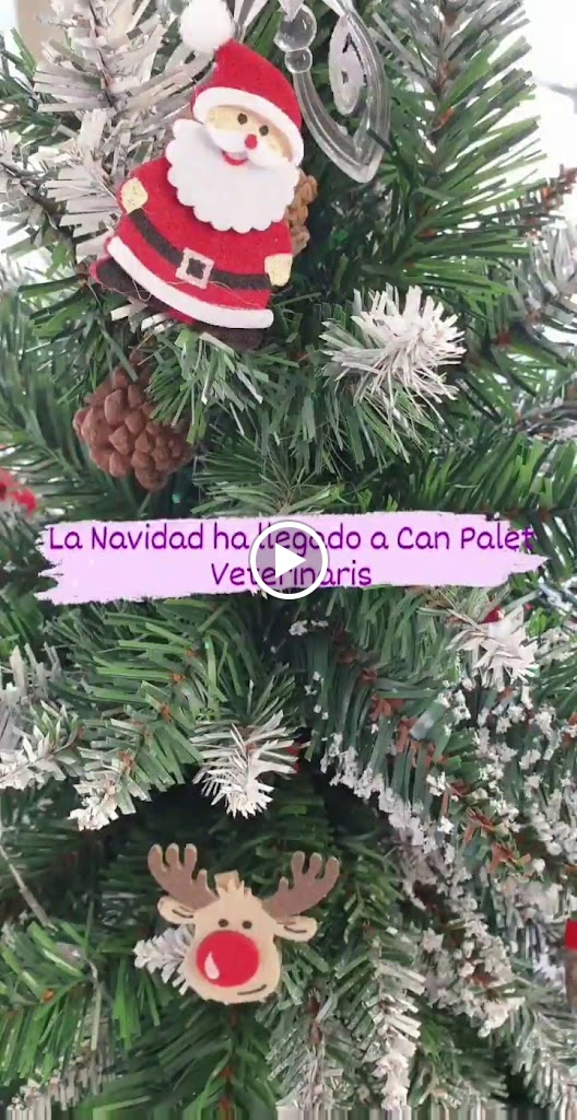 Can Palet Veterinaris — Videos