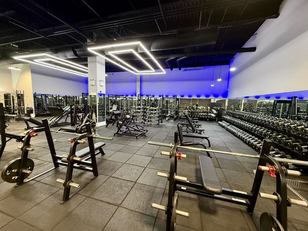  Intoxx Fitness - Hylan