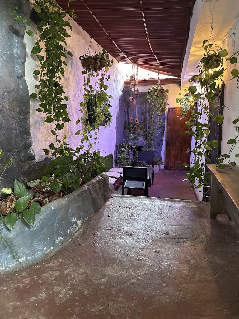 Bar Yerbabuena House — Mas recientes