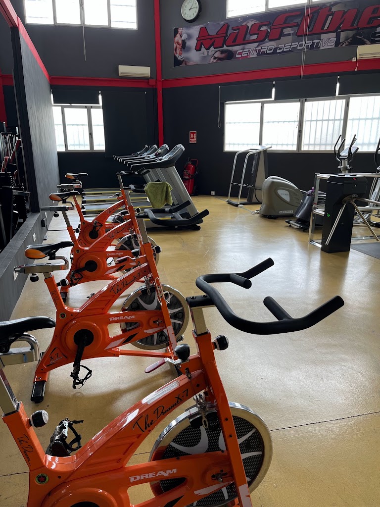 MAS FITNESS SPORT — Del propietario