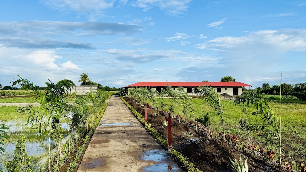 Courtyard By Am S Resort Spa