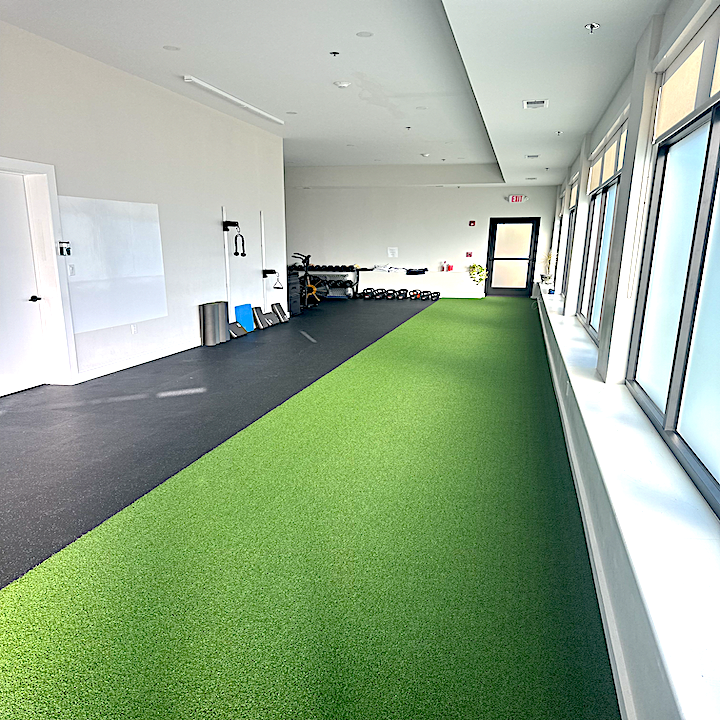  The Pillars of Health