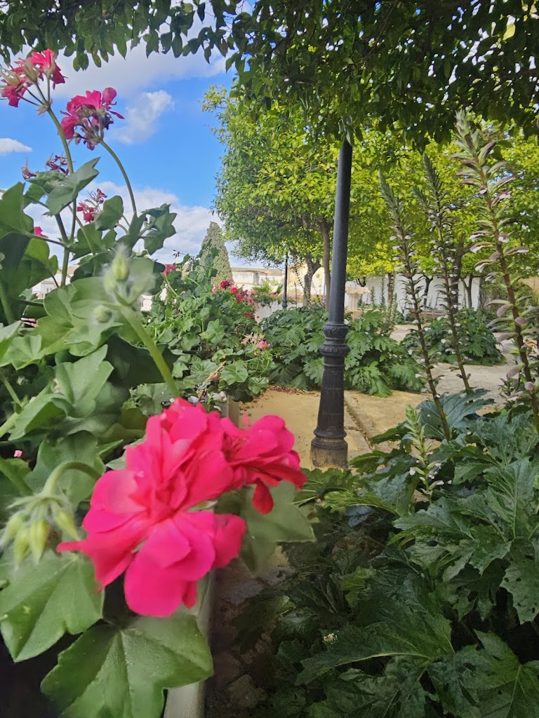 Agencia y escuela de modelos Diversity Model World