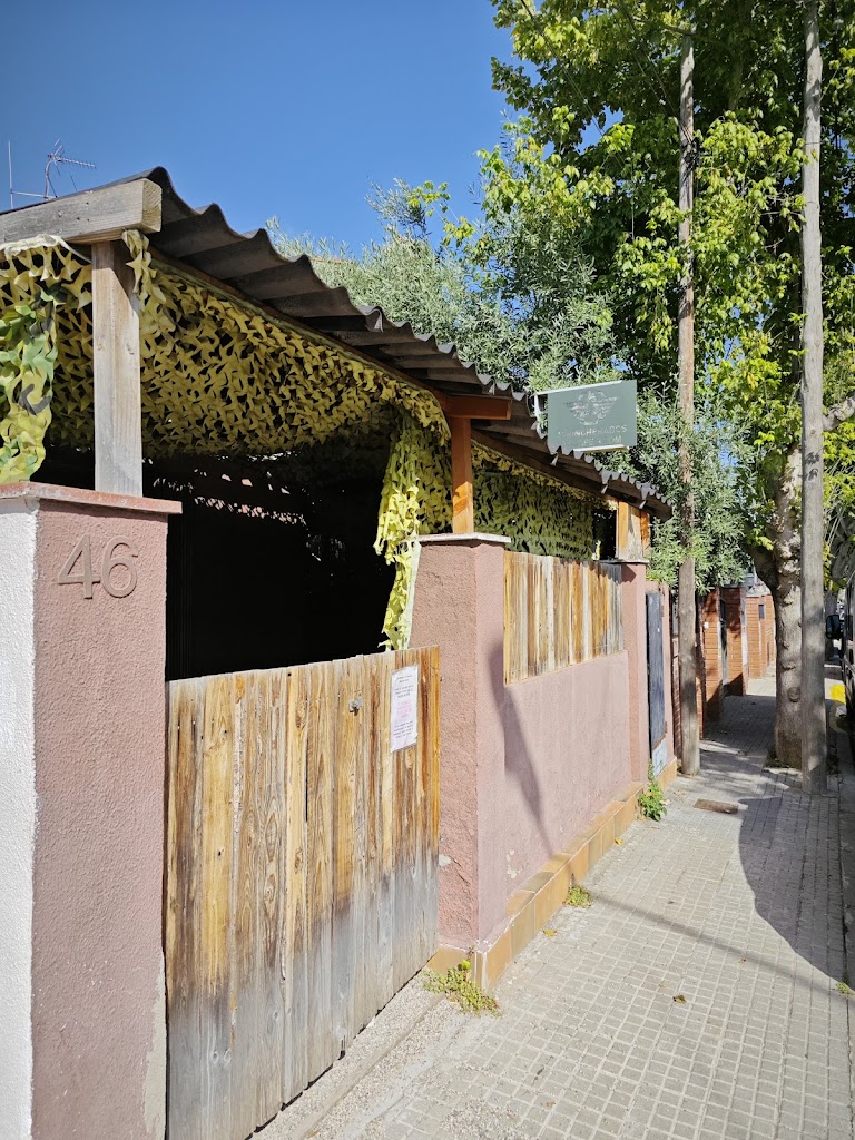 Elements Escape Room - Tierra - Conecta Escape Atrincherados