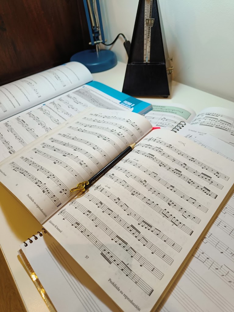 VIOLIN clases particulares en Santander — Del propietario