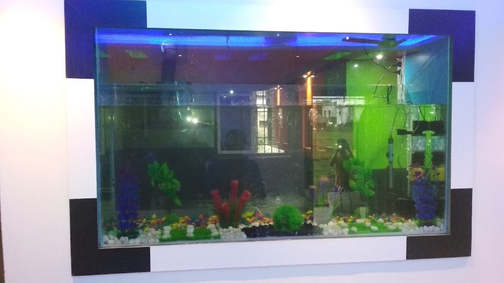 Sriram Aquarium