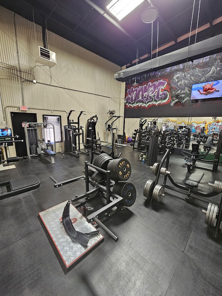  W.T.F. Horizon Gym