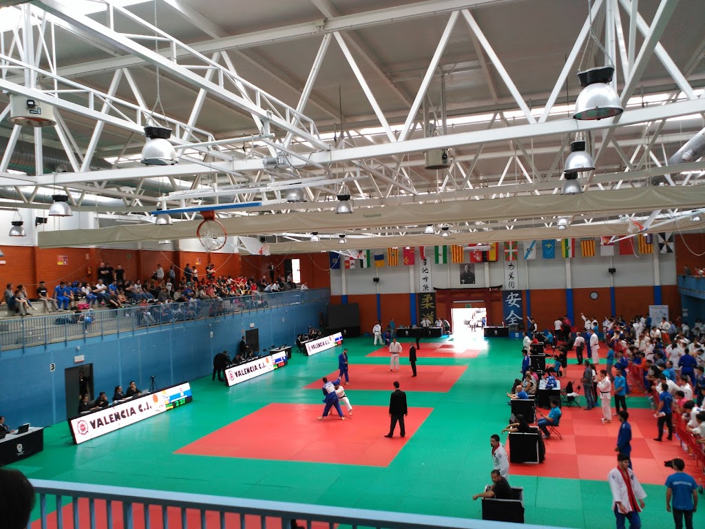 PABELLON DEPORTIVO MUNICIPAL Villaviciosa de Odon.