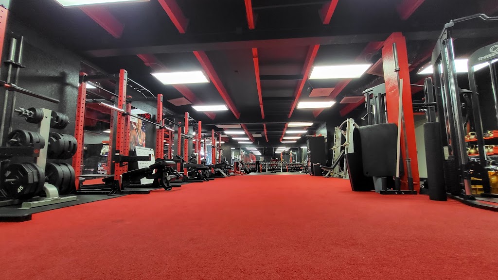  Thunder Fitness San Jose