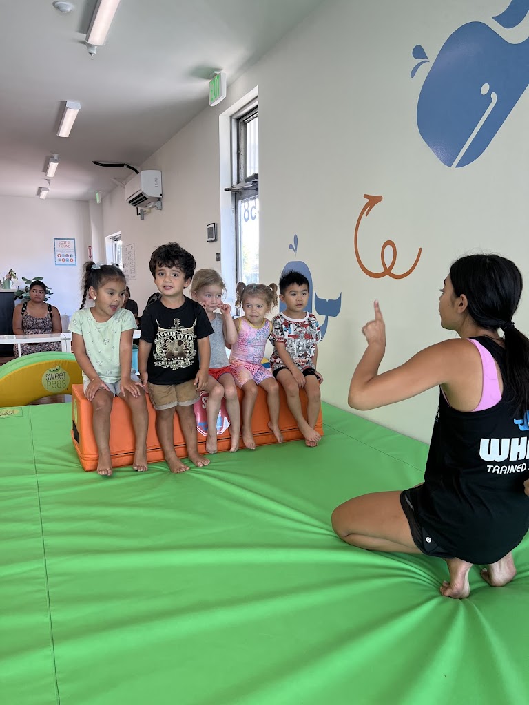  Little Whale Tumble School