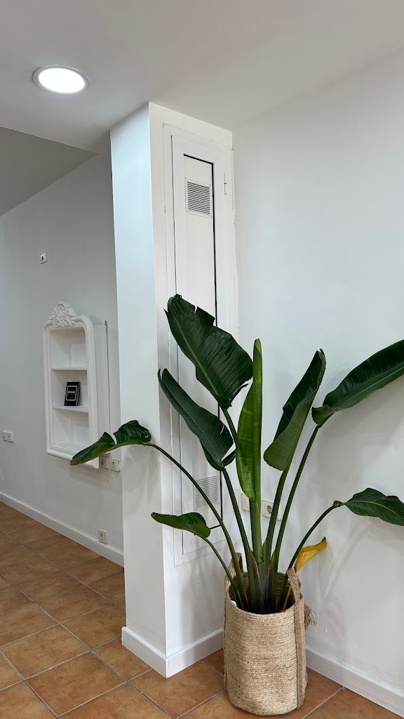 The Organic Beauty Lab