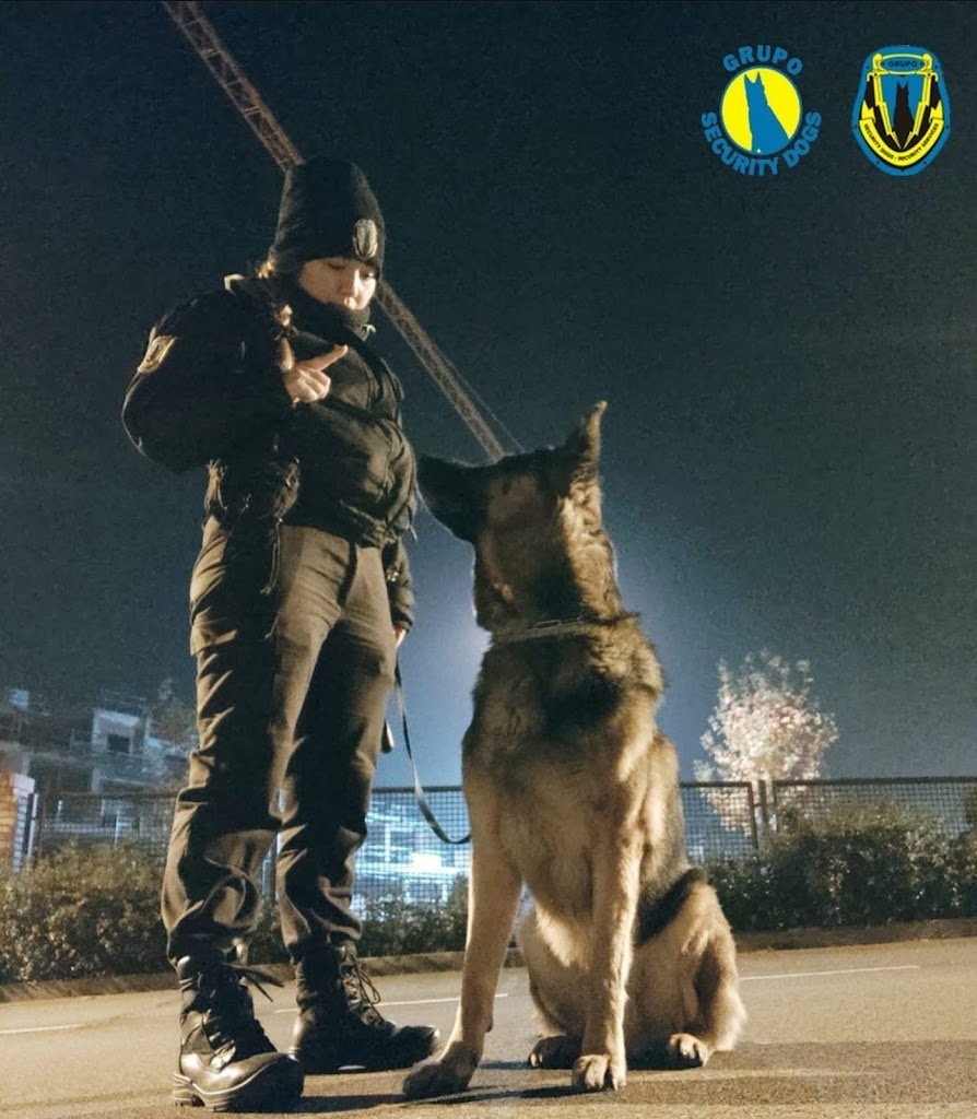 Security dogs