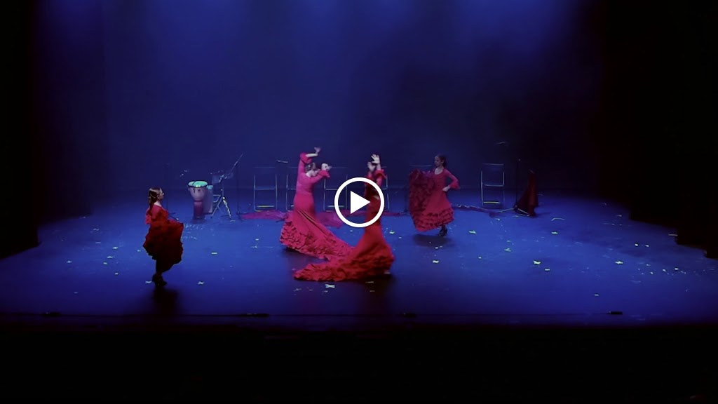 Instituto Flamenco La Truco — Del propietario
