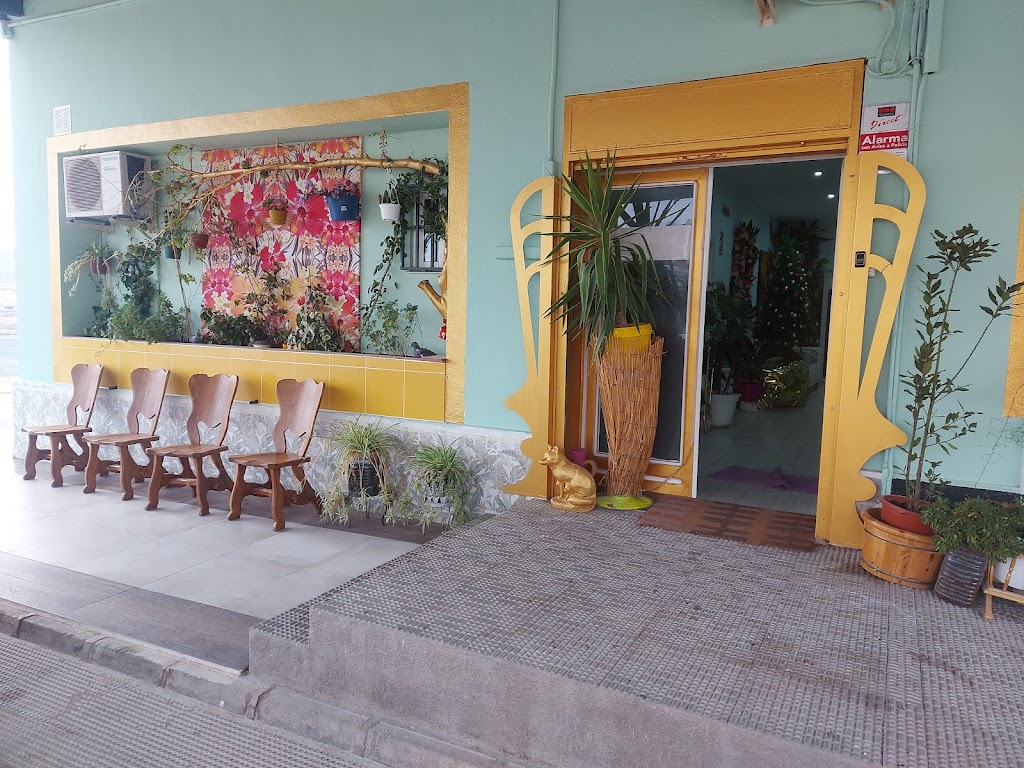 Hostal Fuente del Pino