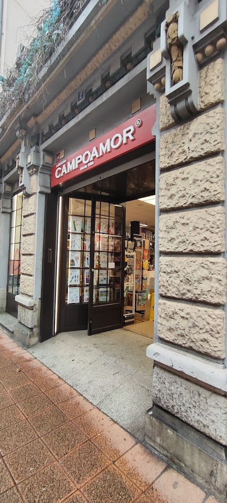 Foto 2 de Libreria Campoamor Aviles