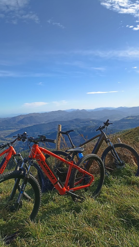 Urdaibai Bike Rental