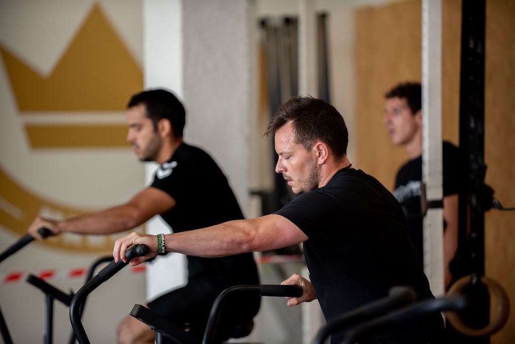 Box Los Reyes — Gimnasio